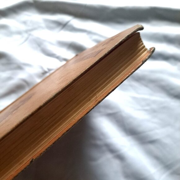 Secret of Skull Mountain : A Hardy Boys Mystery Story by Dixon, Franklin W - Picture 4 of 10